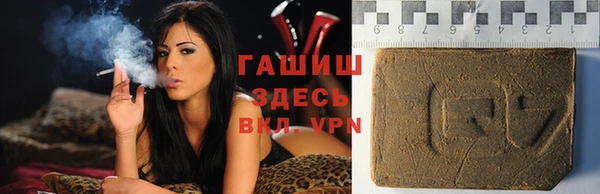 гашик Алексин