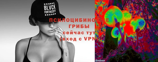 гашик Алексин