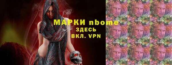 прущий лед Алзамай