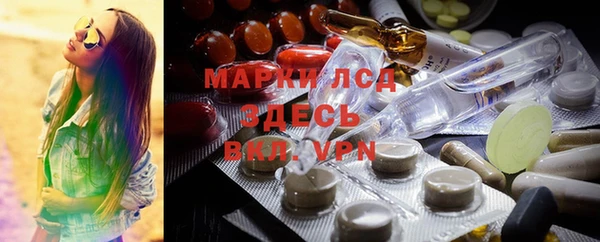 прущий лед Алзамай