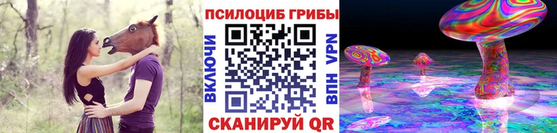 Псилоцибиновые грибы мицелий  хочу наркоту  Омутнинск 